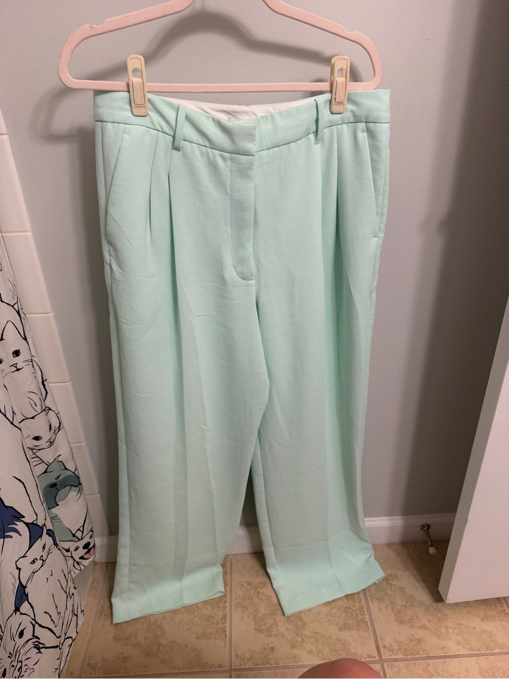 Aritzia Effortless Wide-Leg Tailored Trousers in Subtle Mint